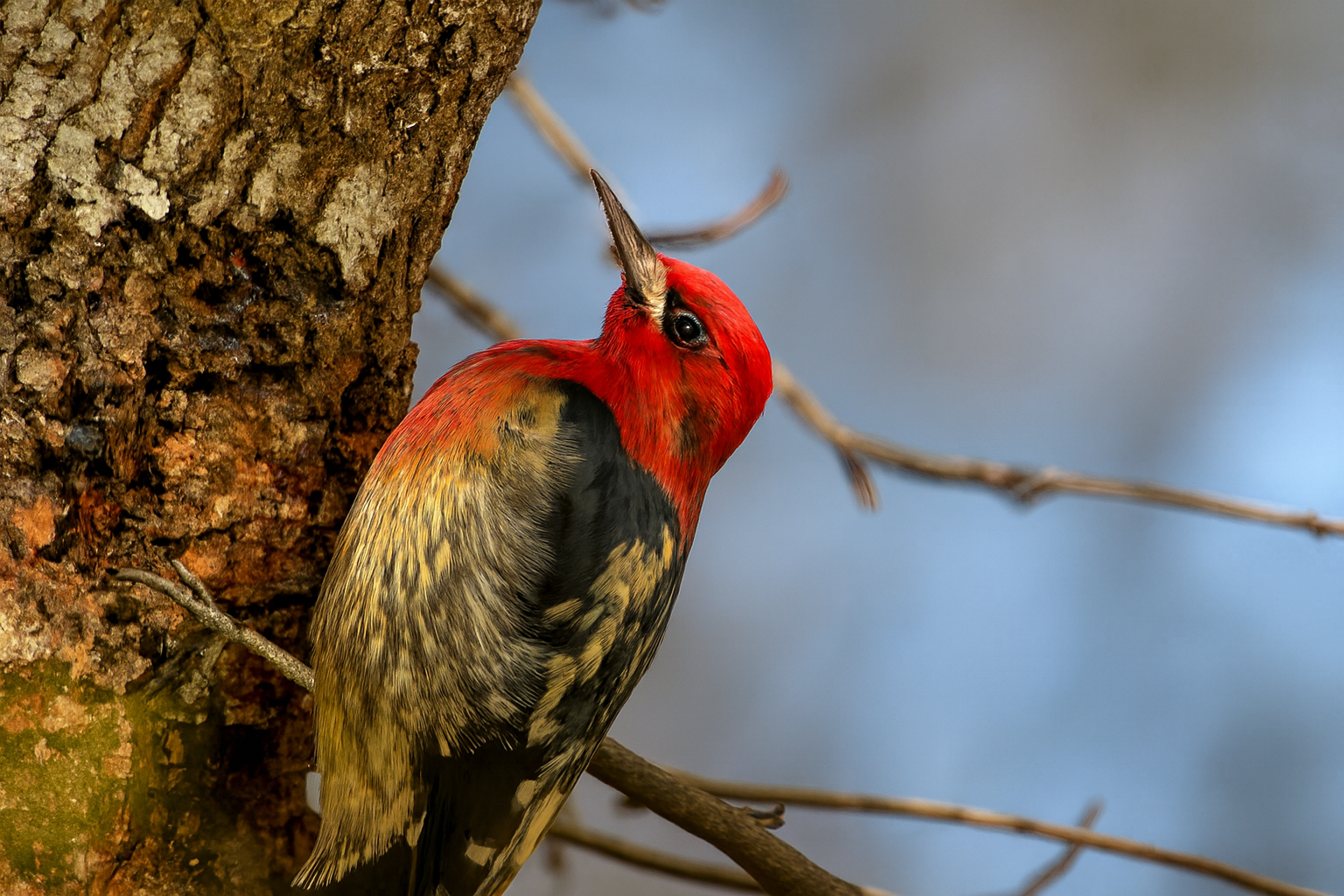Lake Mburo National Park
